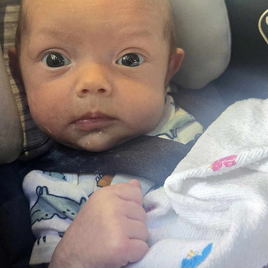 Eleanor is registered to the contest to win money with this photo: baby, infant, car_seat, blanket, clothing, face, head, hand, sitting, wide_eyes, curious, indoor, safety_label, seat_belt, newborn, child, person, portrait, cute, cozy