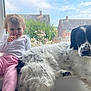 toddler, child, dog, window, smiling, pink_pants, white_shirt, black_and_white_dog, pet, indoor, daylight, flower, house, window_sill, happy, cute, portrait, animal, friendship, playful