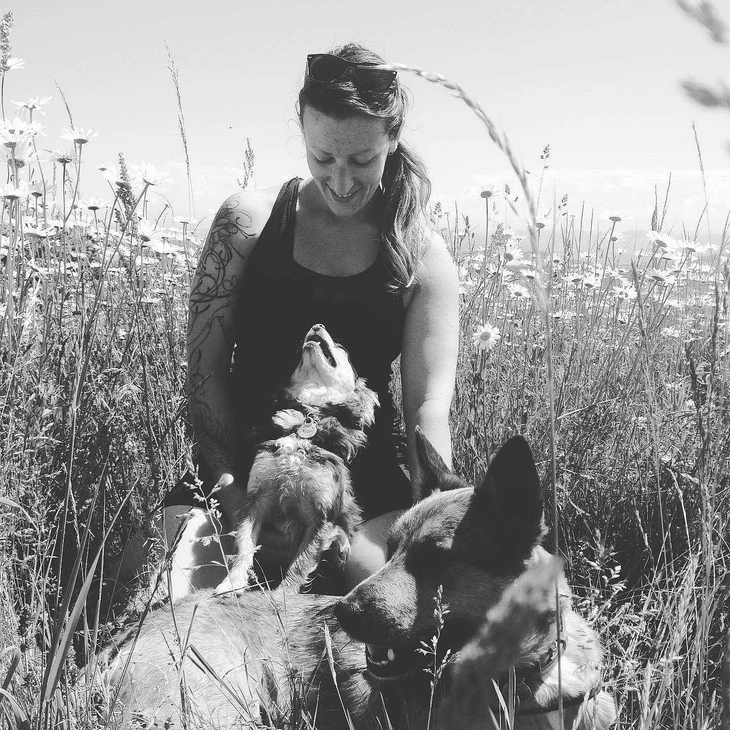 Haribo a rejoint le concours — aidez-le/la à gagner de superbes lots ! black_and_white, canidae, carnivore, dog, hunting_dog, laika, monochrome, monochrome_photography, photograph, photography, sporting_group, style, terrier