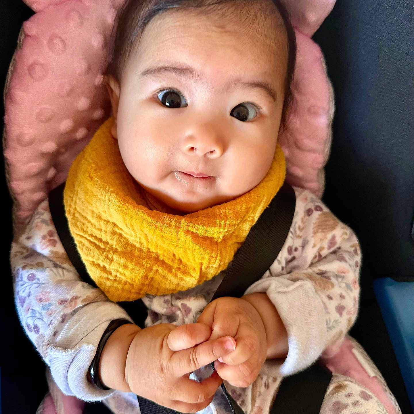 Pari is registered to the contest to win money with this photo: baby, car_seat, child, closeup, clothing, curious, cute, expression, face, hands, indoor, infant, onesie, person, pink_cushion, portrait, seatbelt, sitting, wide_eyes, yellow_bib