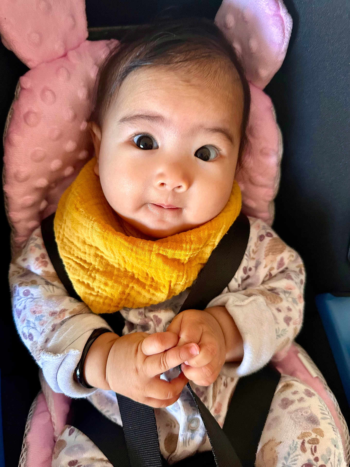 Pari is registered to the contest to win money with this photo: baby, car_seat, child, closeup, clothing, curious, cute, expression, face, hands, indoor, infant, onesie, person, pink_cushion, portrait, seatbelt, sitting, wide_eyes, yellow_bib