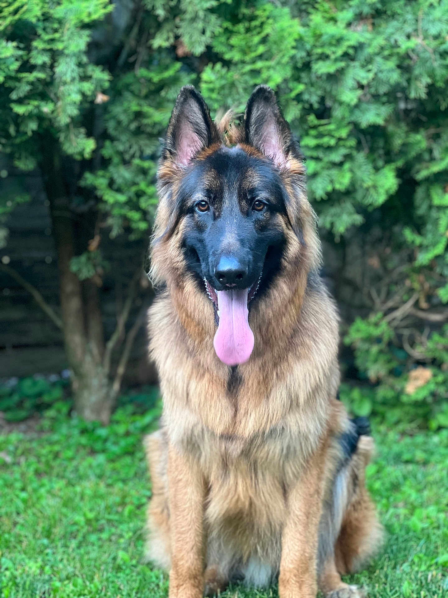 Baxter