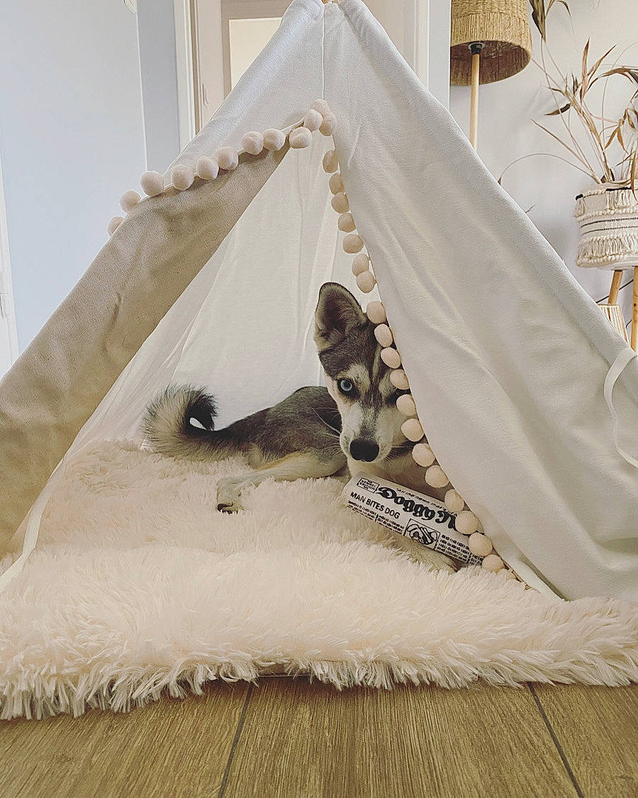 Yanko a rejoint le concours — aidez-le/la à gagner de superbes lots ! baby_products, bed, bed_sheet, beige, furniture, interior_design, linens, product, room, textile