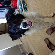 Isis a rejoint le concours — aidez-le/la à gagner de superbes lots !