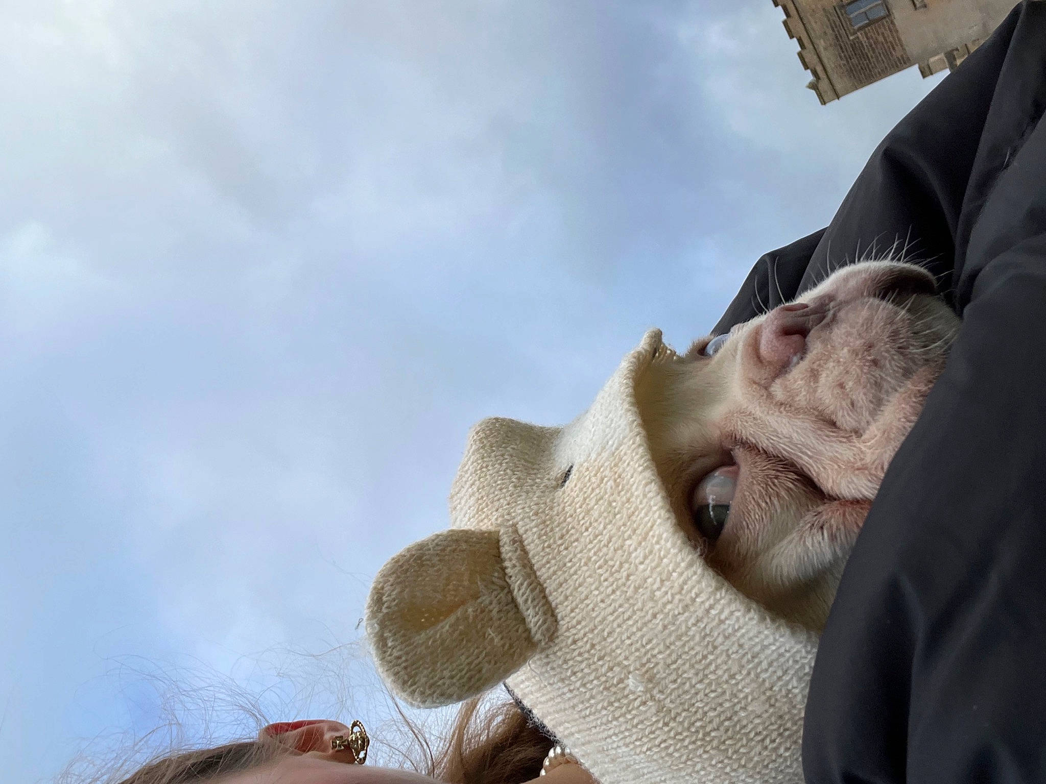 Stuart Little joined the competition — help win amazing prizes! beard, cloud, eyewear, facial_hair, flash_photography, fun, gesture, happy, headgear, landscape, leisure, moustache, people_in_nature, selfie, sky, smile, sunglasses, travel, tree, vision_care