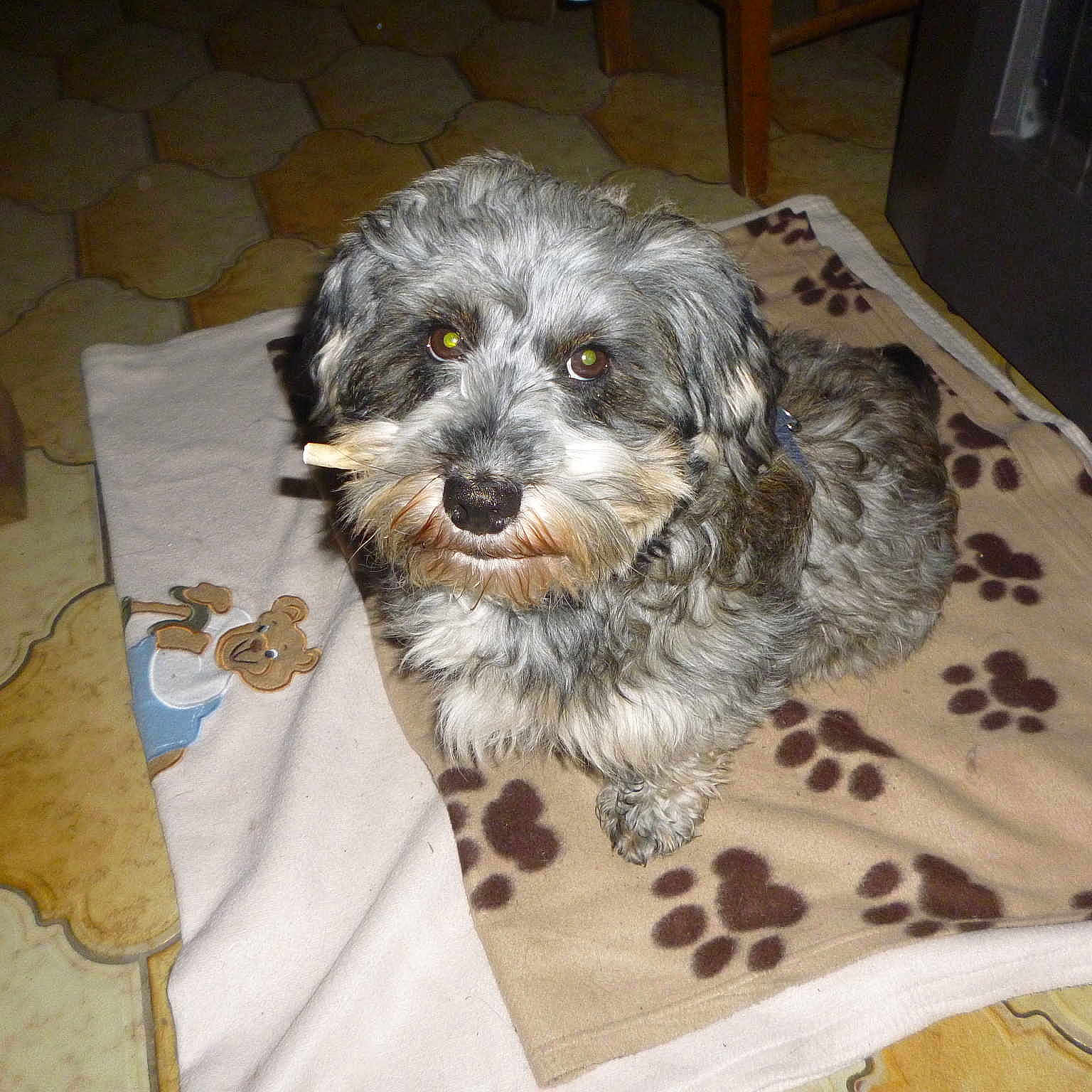 Bouba