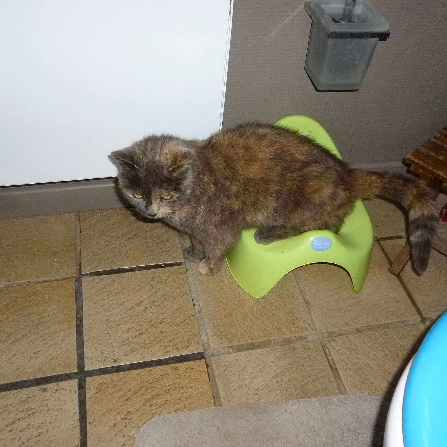 Chaussette