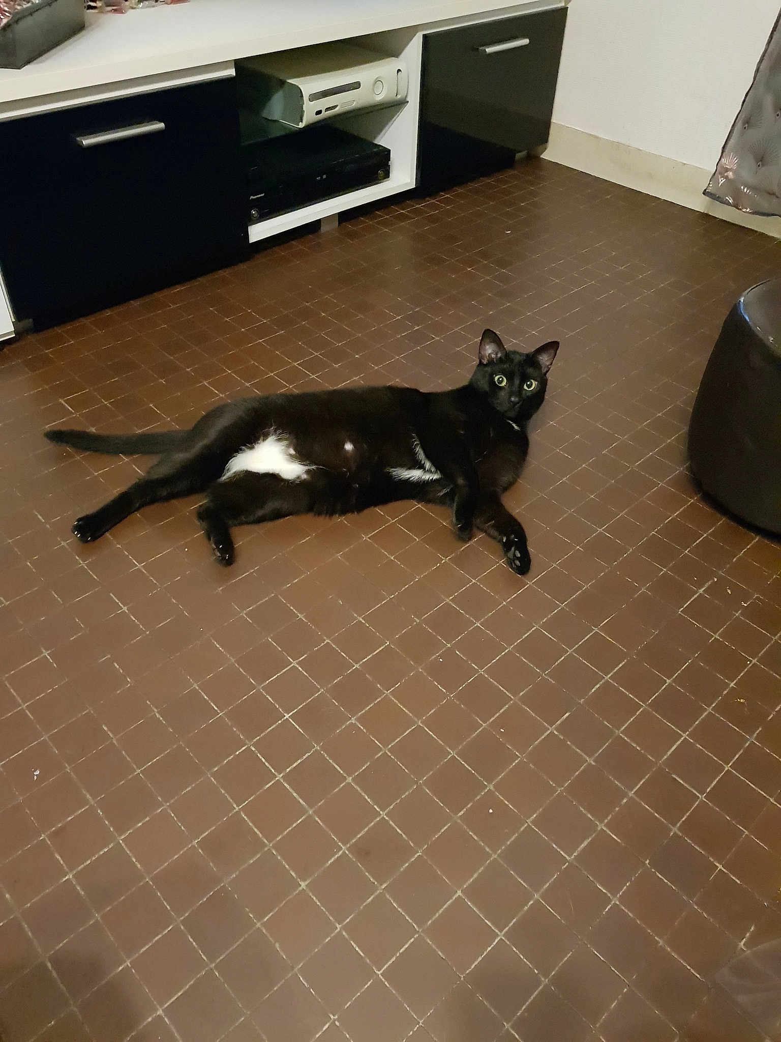 Bebe