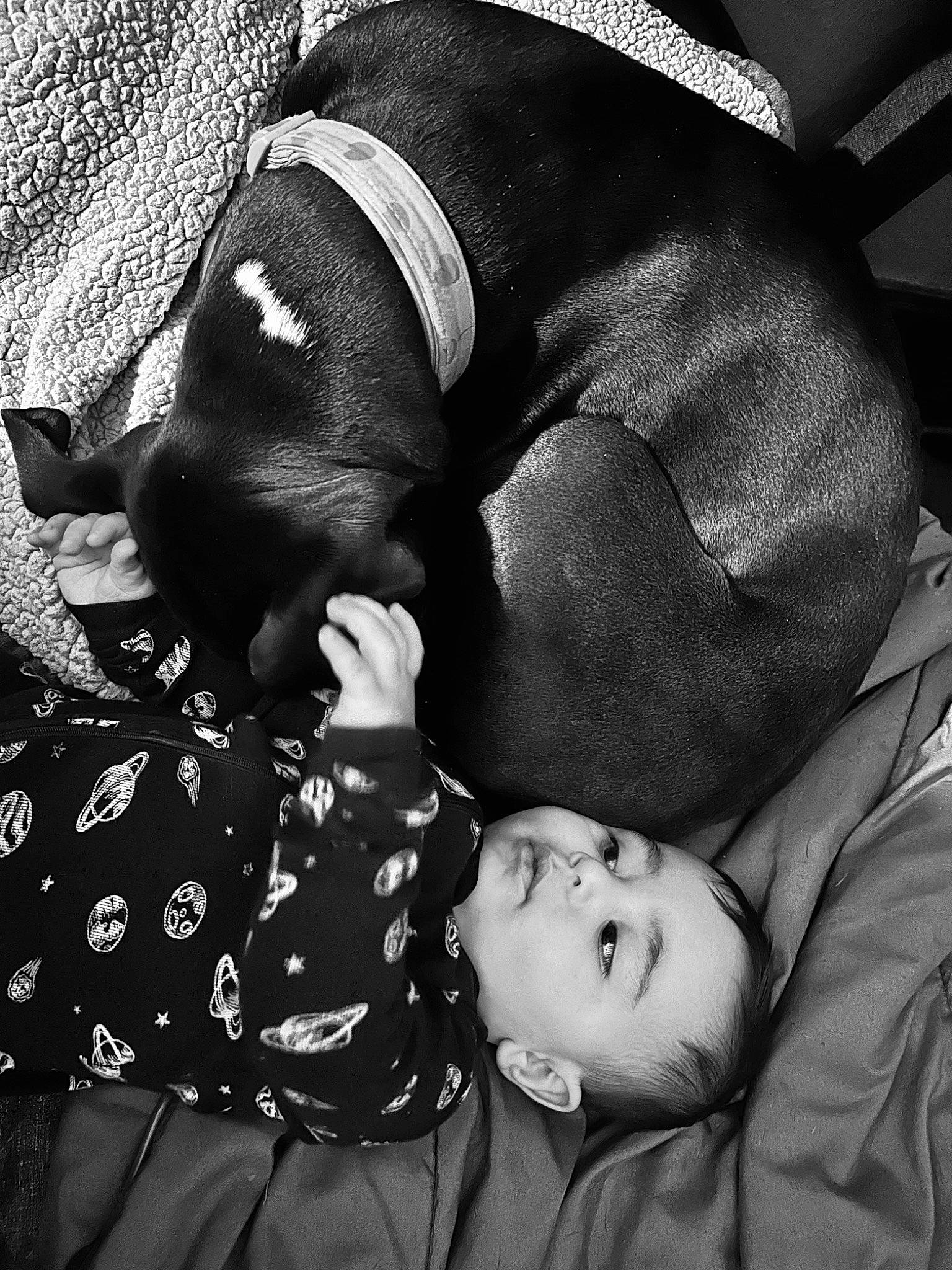 Roxie is registered to the contest to win money with this photo: black, black_and_white, child, comfort, elbow, foot, gesture, human_leg, leg, monochrome, monochrome_photography, nap, room, sitting, stock_photography, style, thigh, tints_and_shades, toddler, white