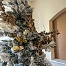 Kitty is registered to the contest to win money with this photo: animal, cat, christmas_tree, curious, cute, decorations, festive, fluffy, frosted_branches, gold, holiday, house, indoor, kitten, ornaments, pet, silver, small, tabby, tree_top