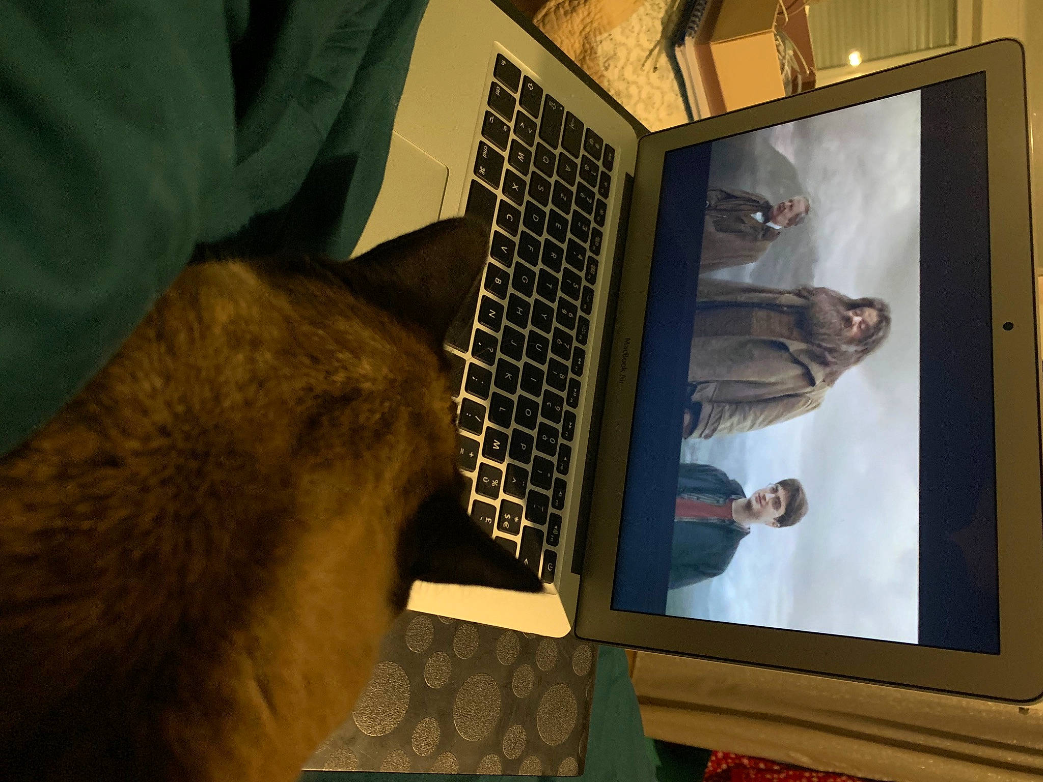 Biafine a rejoint le concours — aidez-le/la à gagner de superbes lots ! computer, computer_hardware, display_device, electronic_device, eyewear, gadget, gesture, input_device, laptop, mammal, netbook, office_equipment, output_device, personal_computer, room, space_bar, technology, vertebrate, visual_arts, whiskers