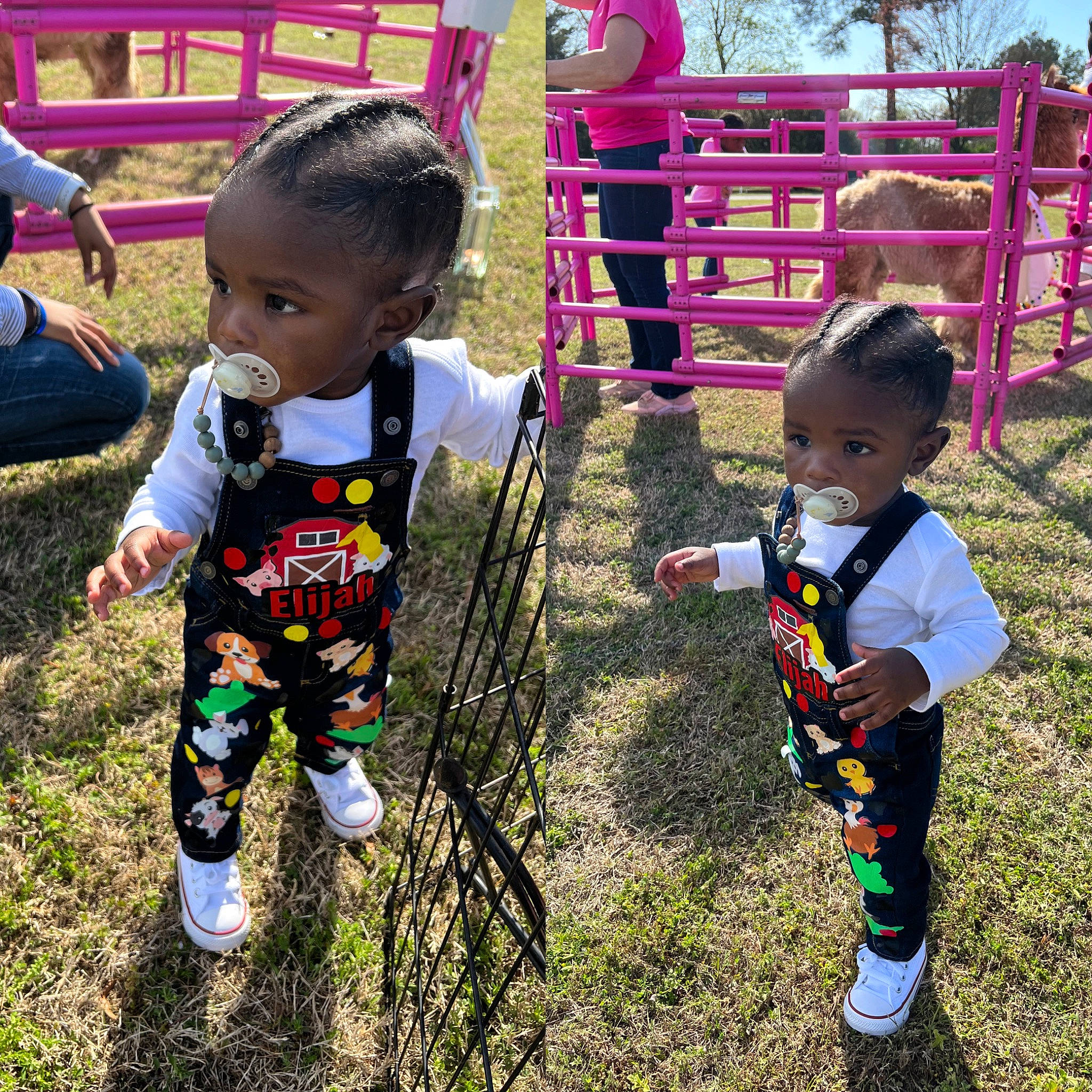 Elijah joined the competition — help win amazing prizes! baby, baby_toddler_clothing, botany, child, city, cool, fun, grass, happy, lawn, leisure, people_in_nature, person, plant, play, recreation, shoe, sneakers, t_shirt, toddler