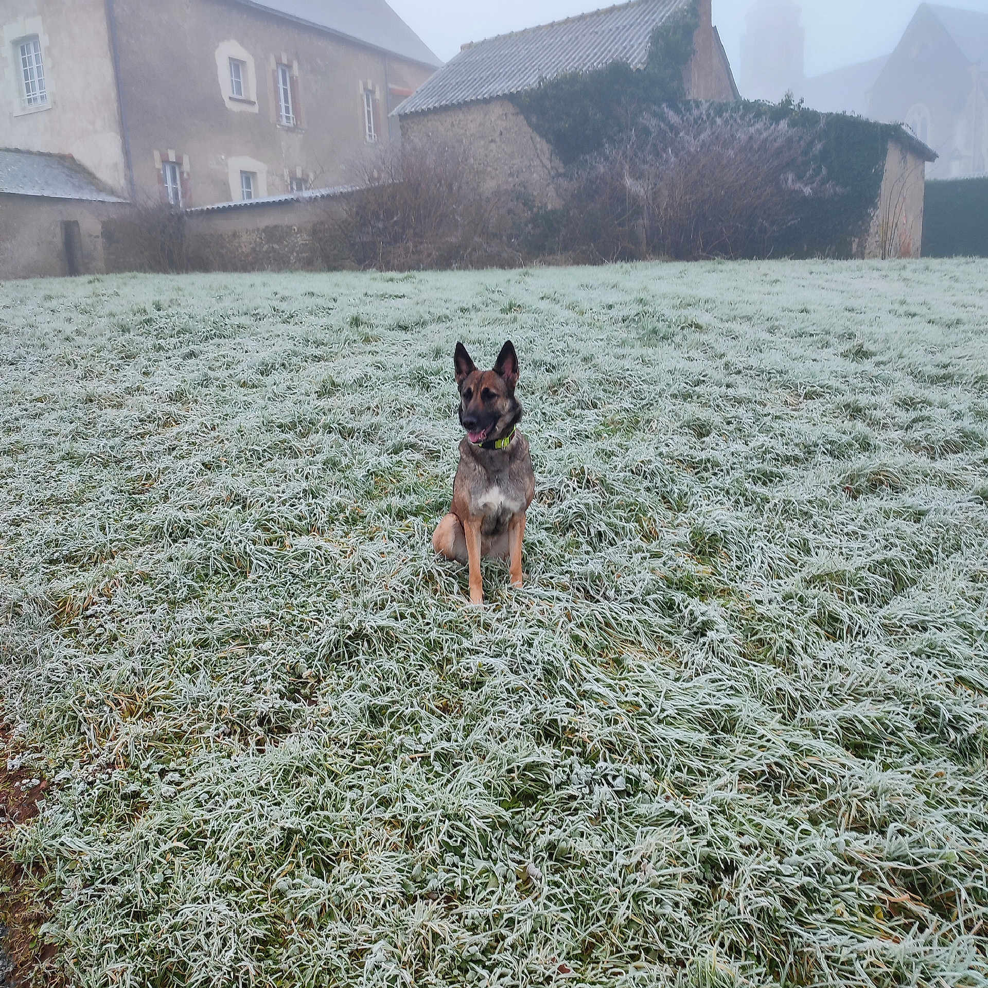 Eira