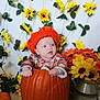 baby, pumpkin, hat, sunflowers, flowers, orange, autumn, fall, decor, cute, child, sitting, indoors, seasonal, festive, background, plant, leaf, person, harvest