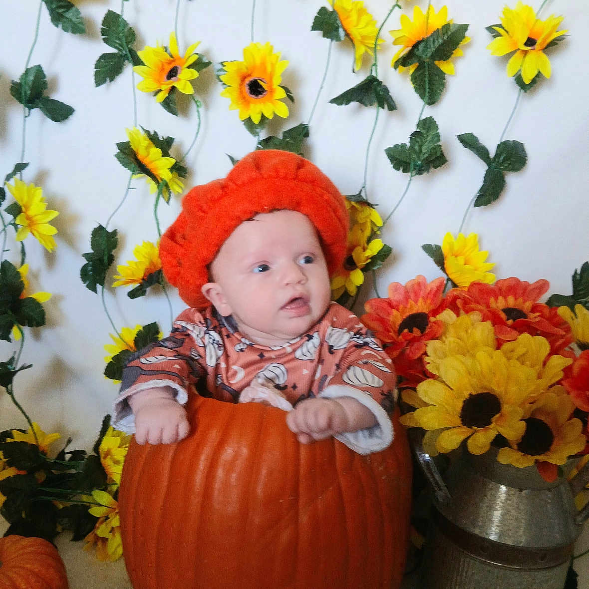 Dollyne is registered to the contest to win money with this photo: autumn, baby, background, child, cute, decor, fall, festive, flowers, harvest, hat, indoors, leaf, orange, person, plant, pumpkin, seasonal, sitting, sunflowers