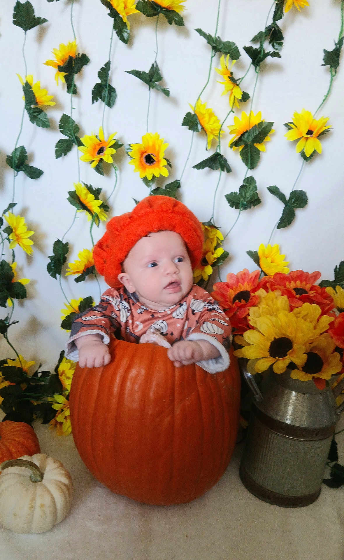 Dollyne is registered to the contest to win money with this photo: baby, pumpkin, hat, sunflowers, flowers, orange, autumn, fall, decor, cute, child, sitting, indoors, seasonal, festive, background, plant, leaf, person, harvest