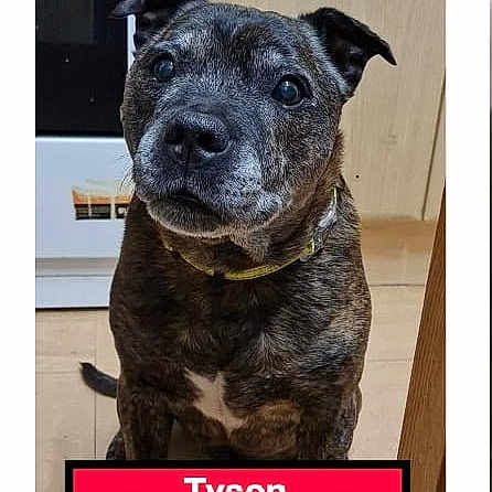 Tyson