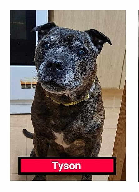 Tyson