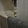 bath_mat, bathroom, bathroom_accessories, bathtub, cat, comb, curious, domestic_animal, feline, hiding, home, indoor, loofah, orange_and_white_cat, peeking, pet, quiet, shower_curtain, tile_wall, toiletries