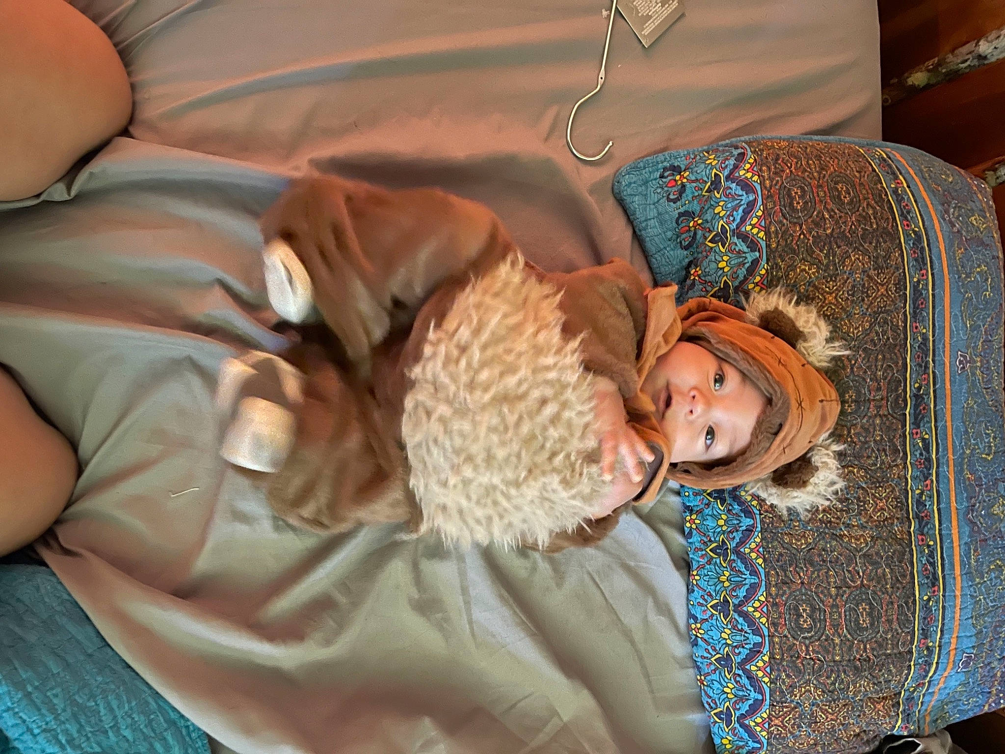 Nash joined the competition — help win amazing prizes! bed, bed_sheet, bedding, bedroom, bedtime, child, comfort, couch, fun, fur, headwear, leisure, linens, nap, person, pillow, room, sitting, sleep, teddy_bear