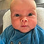 baby, close_up, blue_clothing, bunny_design, chubby_cheeks, curious_expression, infant, indoors, person, portrait, soft_texture, wide_eyes, cute, young_child, head, face, sitting, looking_at_camera, skin, newborn
