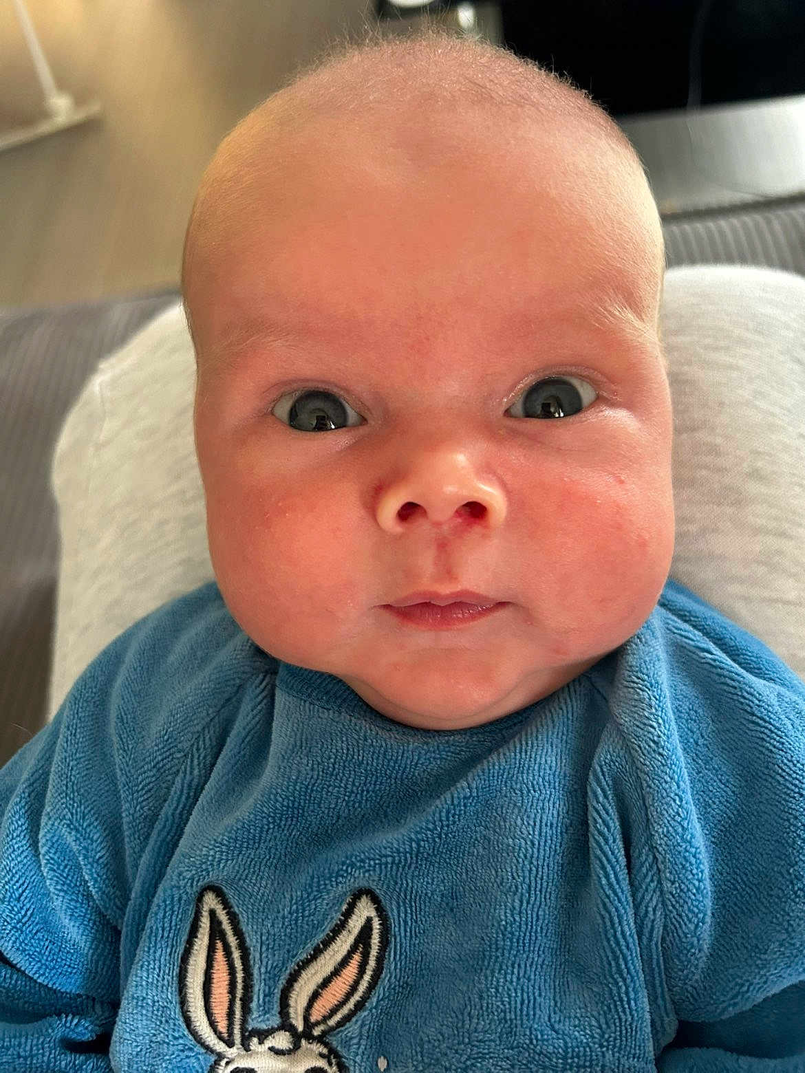 Sohan participe au concours pour gagner de l'argent avec cette photo : baby, close_up, blue_clothing, bunny_design, chubby_cheeks, curious_expression, infant, indoors, person, portrait, soft_texture, wide_eyes, cute, young_child, head, face, sitting, looking_at_camera, skin, newborn