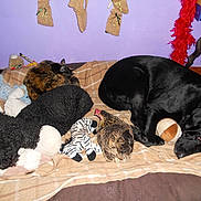 Ulysse a rejoint le concours — aidez-le/la à gagner de superbes lots !