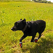 Ulysse a rejoint le concours — aidez-le/la à gagner de superbes lots !