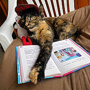 Pépette a rejoint le concours — aidez-le/la à gagner de superbes lots !