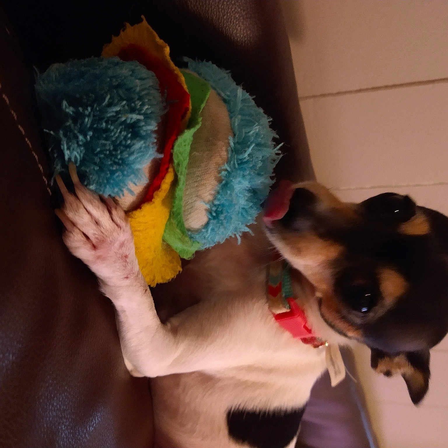 Elsie Aka Tiny