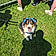 Benji