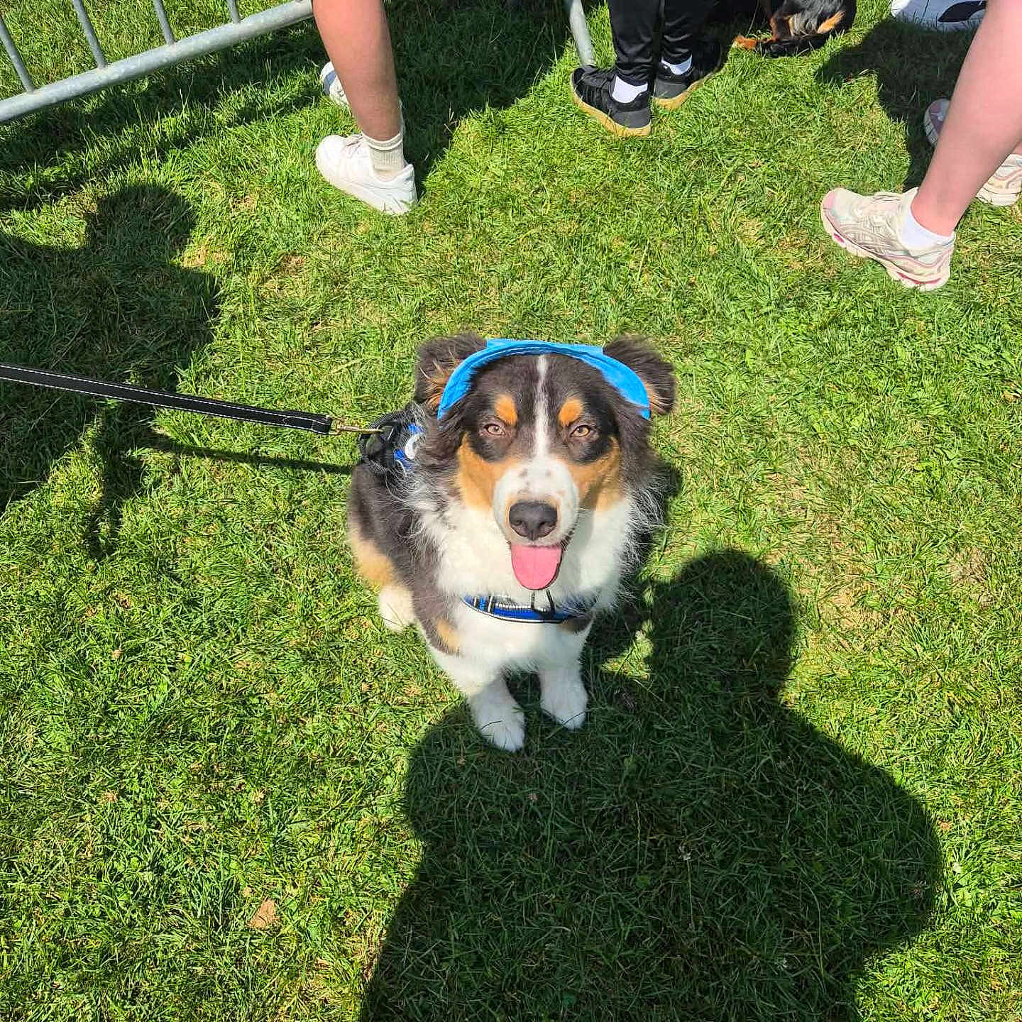 Benji