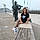 Adelina F.