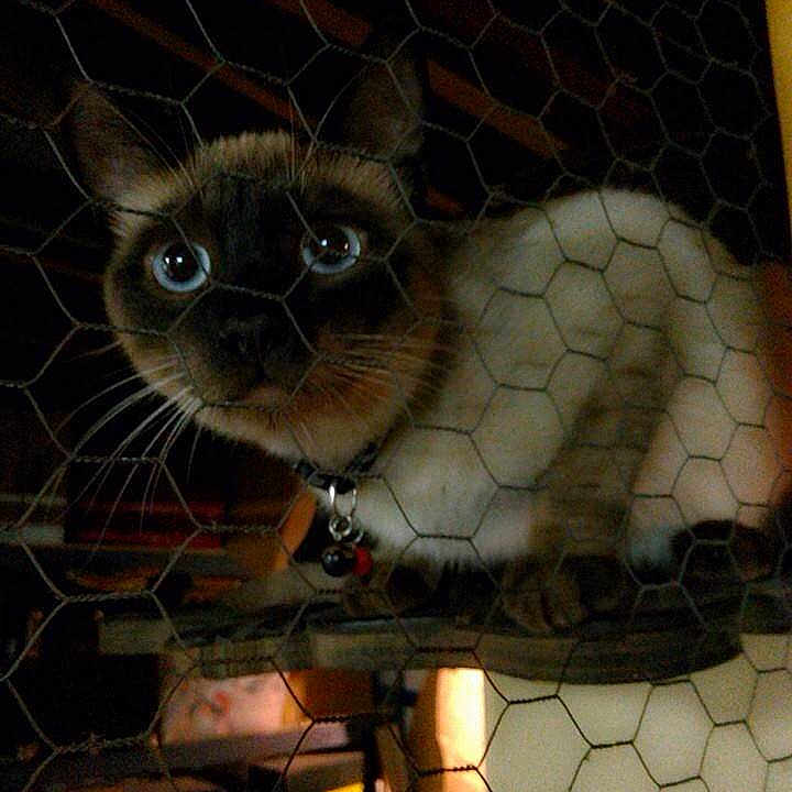 Sake is registered to the contest to win money with this photo: