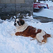 Falba participe au concours pour gagner de l'argent avec cette photo :