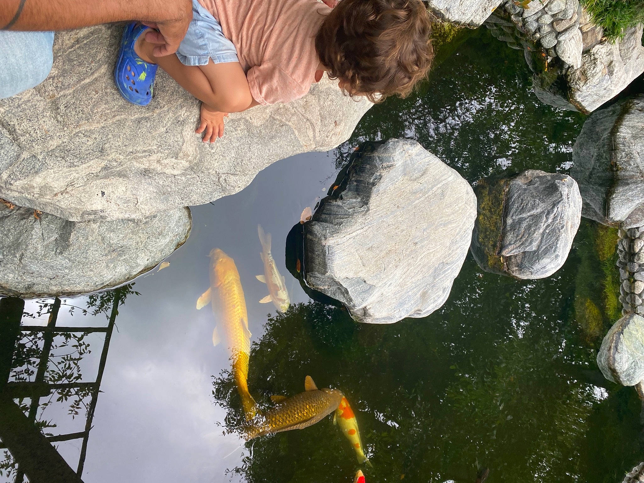 Benicio joined the competition — help win amazing prizes! bedrock, body_of_water, formation, fun, grass, lake, landscape, leisure, mineral_spring, nature, plant, reflection, rock, shadow, soil, stream, water, water_feature, water_resources, watercourse