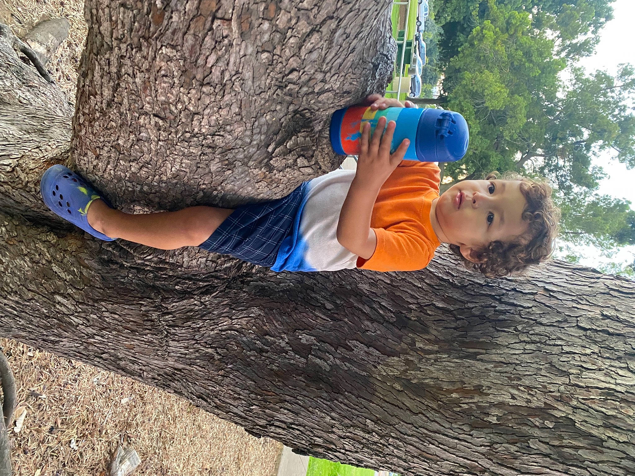 Benicio joined the competition — help win amazing prizes! adventure, bedrock, branch, electric_blue, fun, grass, happy, landscape, leisure, outcrop, people_in_nature, person, plant, recreation, toddler, tree, trunk, vacation, wood, woody_plant