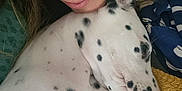 Snoopy a rejoint le concours — aidez-le/la à gagner de superbes lots ! woman, dog, dalmatian, puppy, close_up, snuggling, blanket, spots, face, nose_ring, sleeping, cozy, indoor, pet, companion, cuddle, friendship, relaxing, portrait, warmth