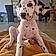 Snoopy
