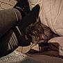 cat, pet, sleeping_cat, socks, black_socks, legs, blanket, pillow, bed, cozy, fur, indoor, resting, human_leg, textile, dim_light, night, close_up, floor, comfort