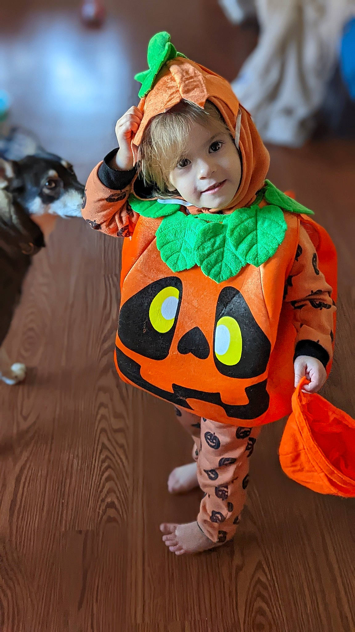 Mazikeen joined the competition — help win amazing prizes! baby_toddler_clothing, calabaza, child, costume, event, face, fictional_character, flooring, fun, happy, head, headwear, holiday, orange, pattern, person, pumpkin, smile, toddler, tradition