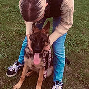 Freiden participe au concours pour gagner de l'argent avec cette photo : affection, animal, casual, companionship, daytime, dog, german_shepherd, grass, happy, jeans, leash, nature, outdoor, park, person, pet, playing, sneakers, sweater, tongue_out
