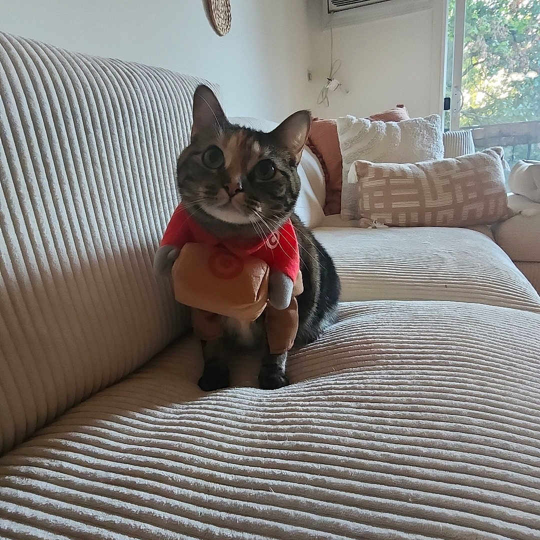 Lily