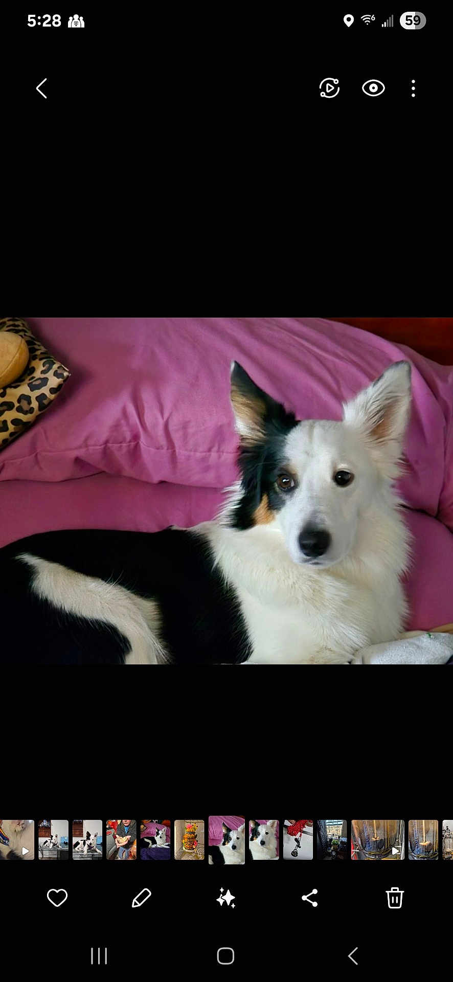 Loki