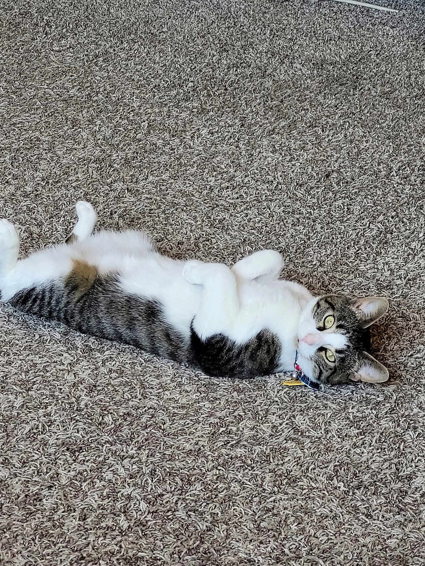 Henry