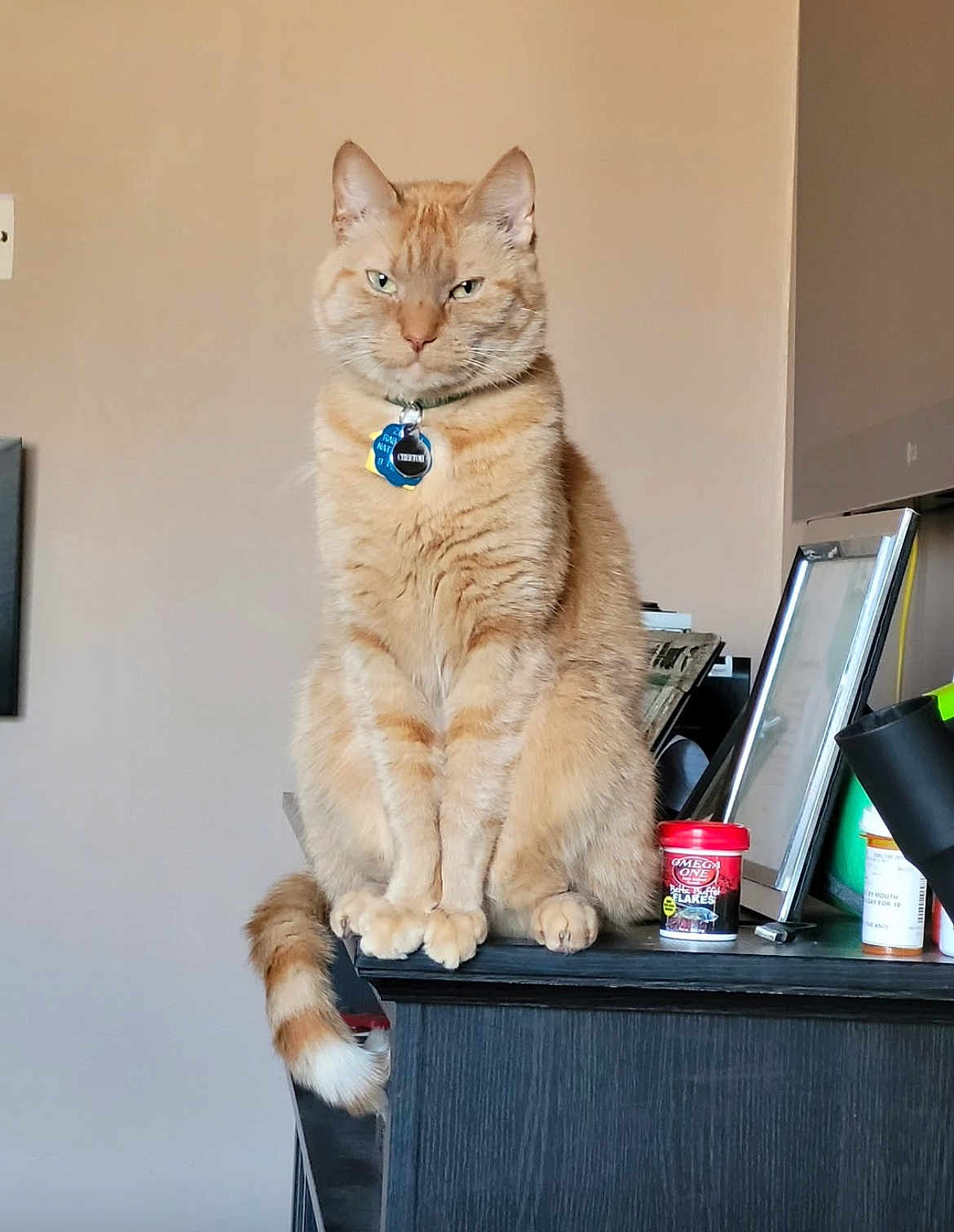 Cheetoh