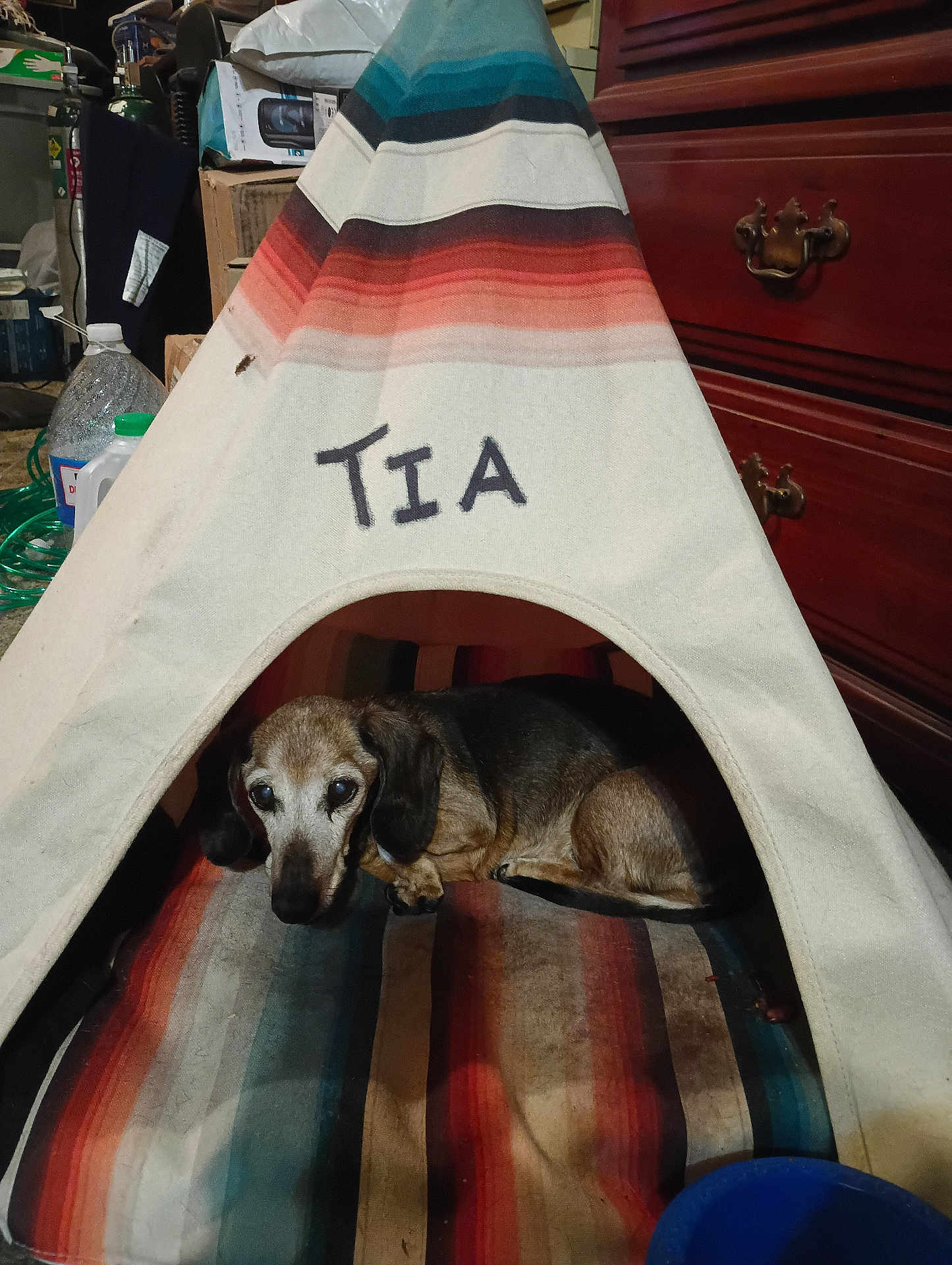 Tia