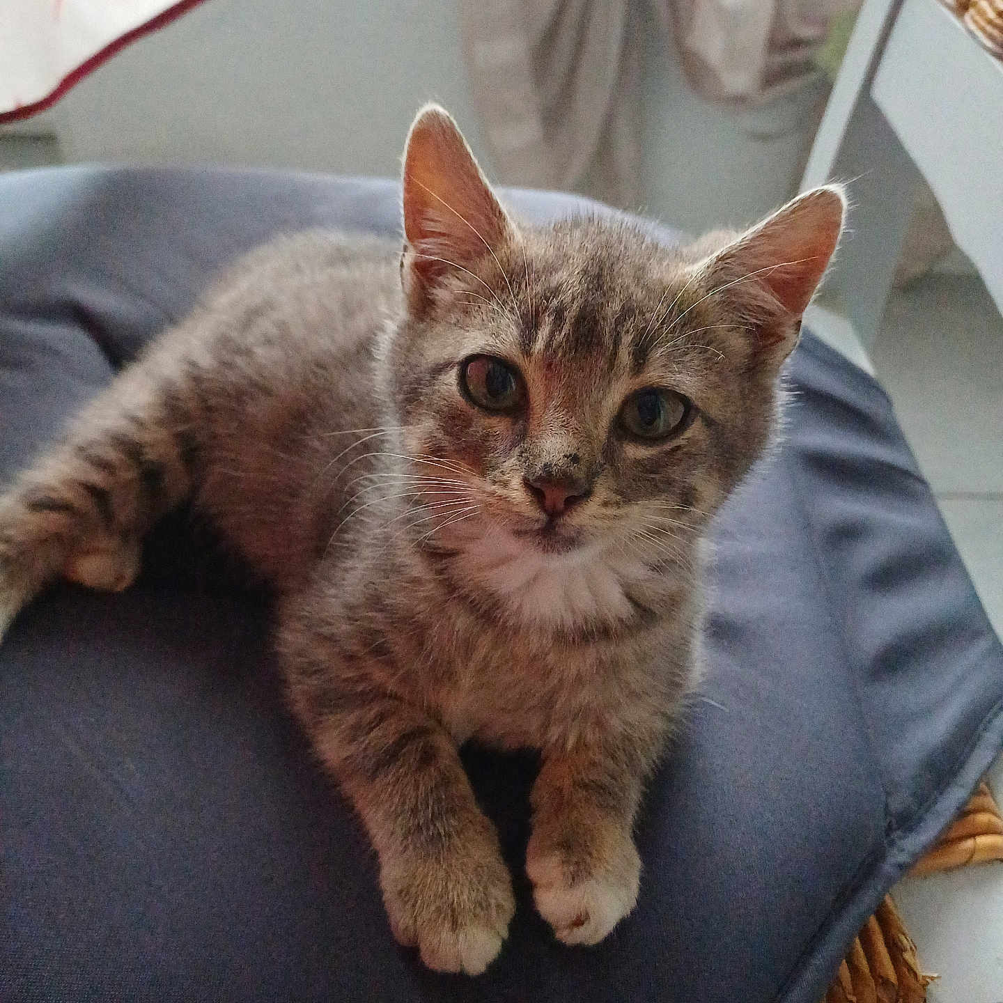 Aiko