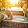 karinejeannot71
