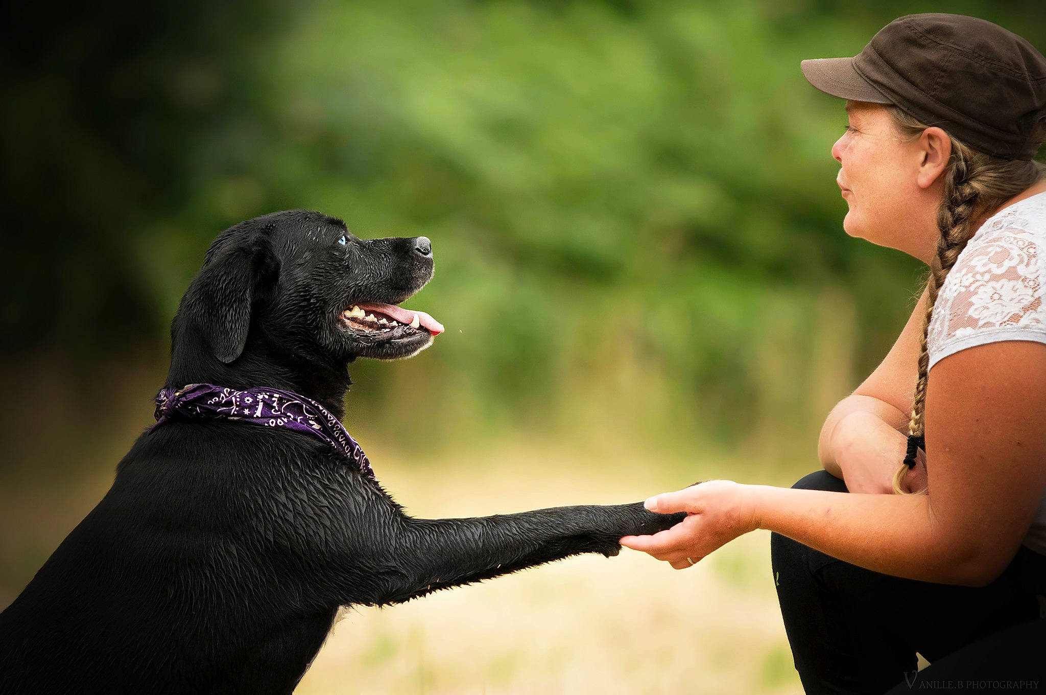 Channa a rejoint le concours — aidez-le/la à gagner de superbes lots ! canidae, carnivore, dog, dog_breed, dog_collar, flat_coated_retriever, gesture, guard_dog, hand, hunting_dog, labrador_retriever, obedience_training, sporting_group